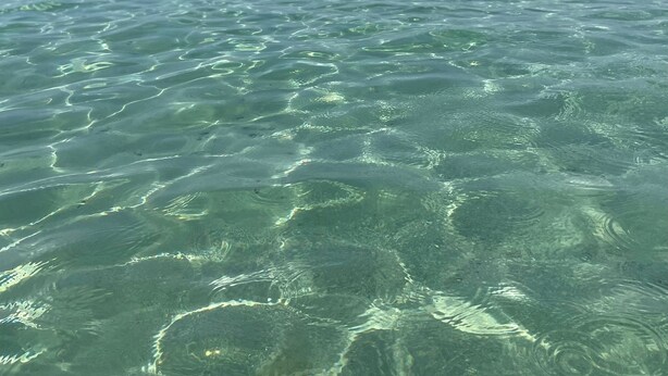 Clear water with visible ripples and distant landforms.