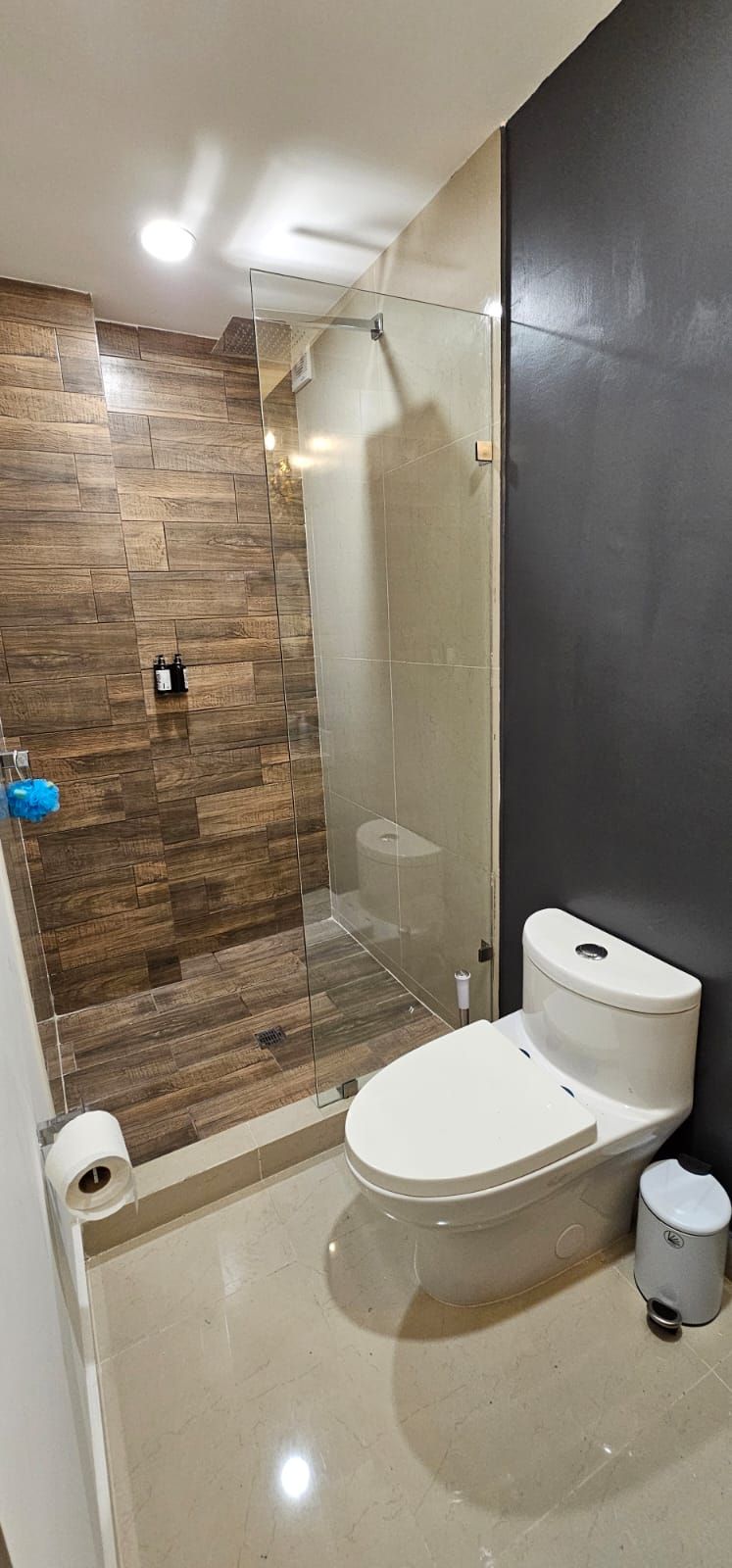 A modern bathroom with a glass shower enclosure, a toilet, and a bidet.