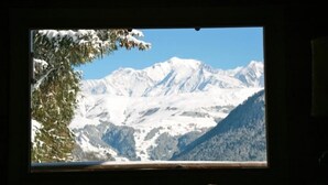 A window with a view of snow-covered mountains and a tree.