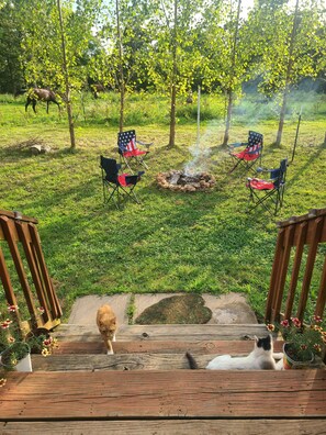Property grounds - Near Camdenton, Farmhouse Experience, Animals, Fun Lighting, Soundbar, Starlink (Montreal)