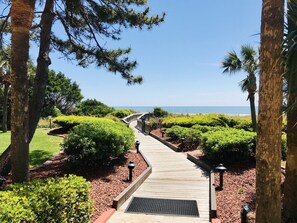 Property grounds - Winter Rates! Beach Colony Gem, Oceanfront Suite (Myrtle Beach)