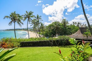 Une vue sur une plage tropicale, avec des palmiers, un mur de pierre et une zone herbeuse parsemée de plantes.