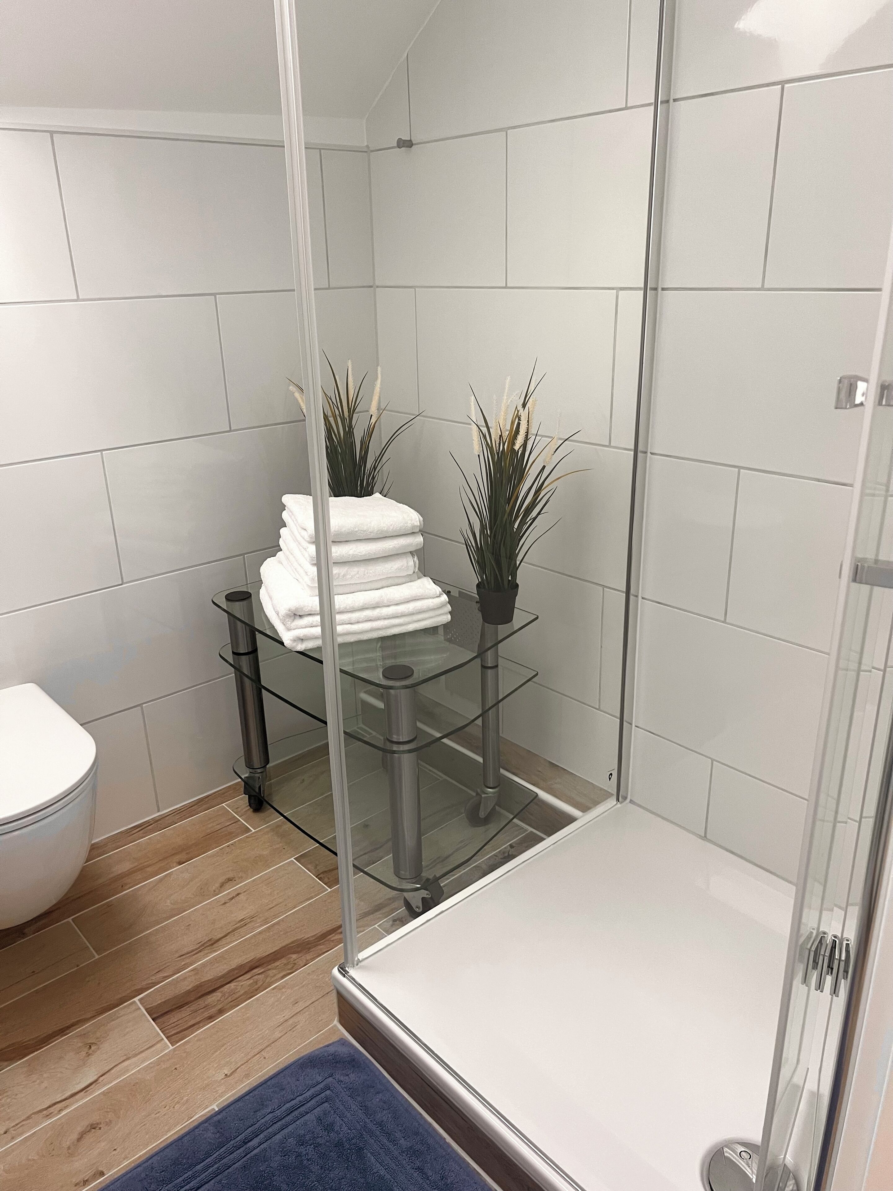 Een moderne badkamer met een douchecabine van glas, een glazen plank met handdoeken en twee potplanten.