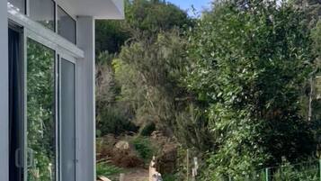 DĂ©tail de lâextĂ©rieur