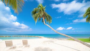 A beach with white sand, two lounge chairs, and a palm tree. - Cayman Luxury Rentals at Sunset Cove (Seven Mile Beach)