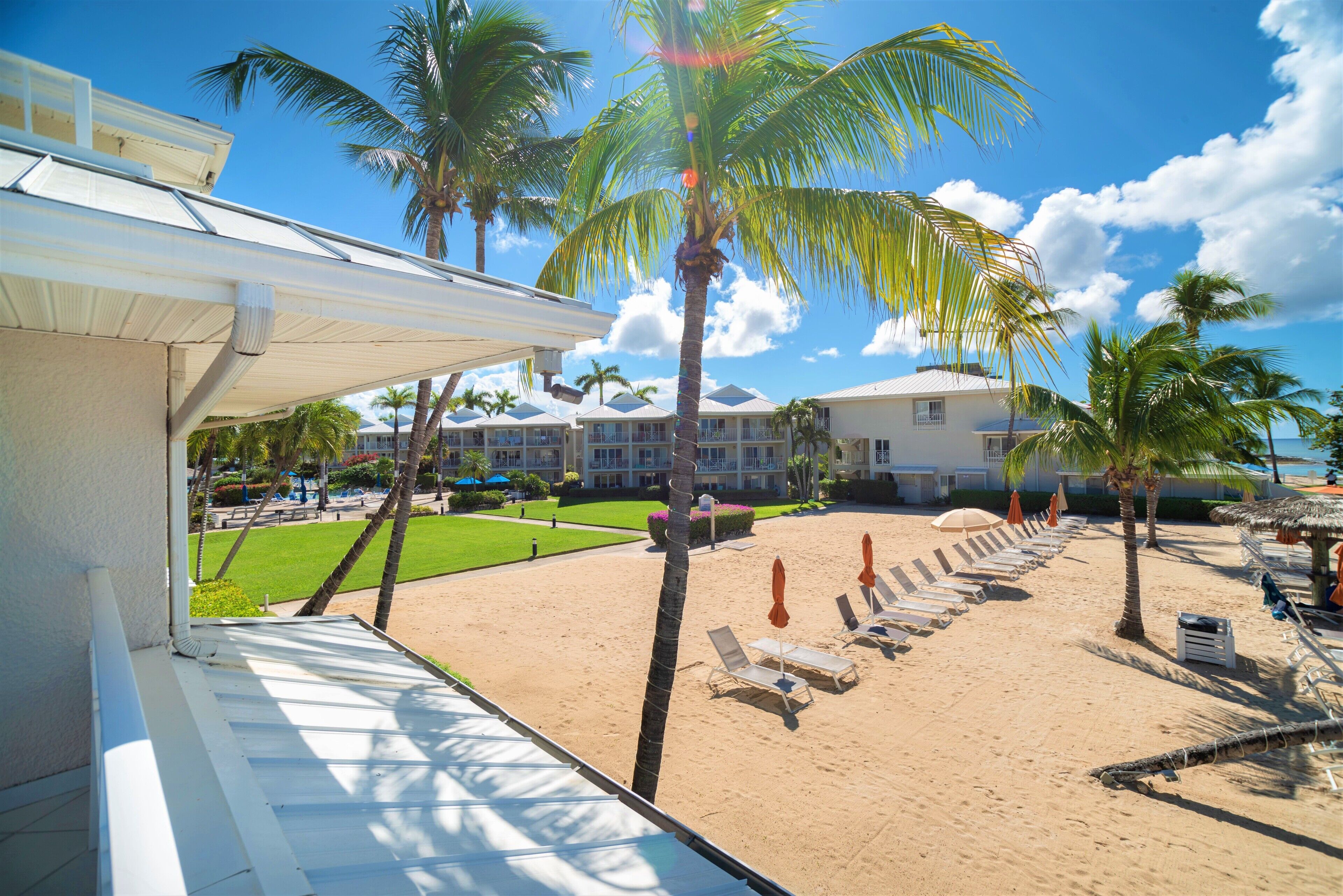 A beachfront hotel with a sandy beach, palm trees, and sun loungers.
