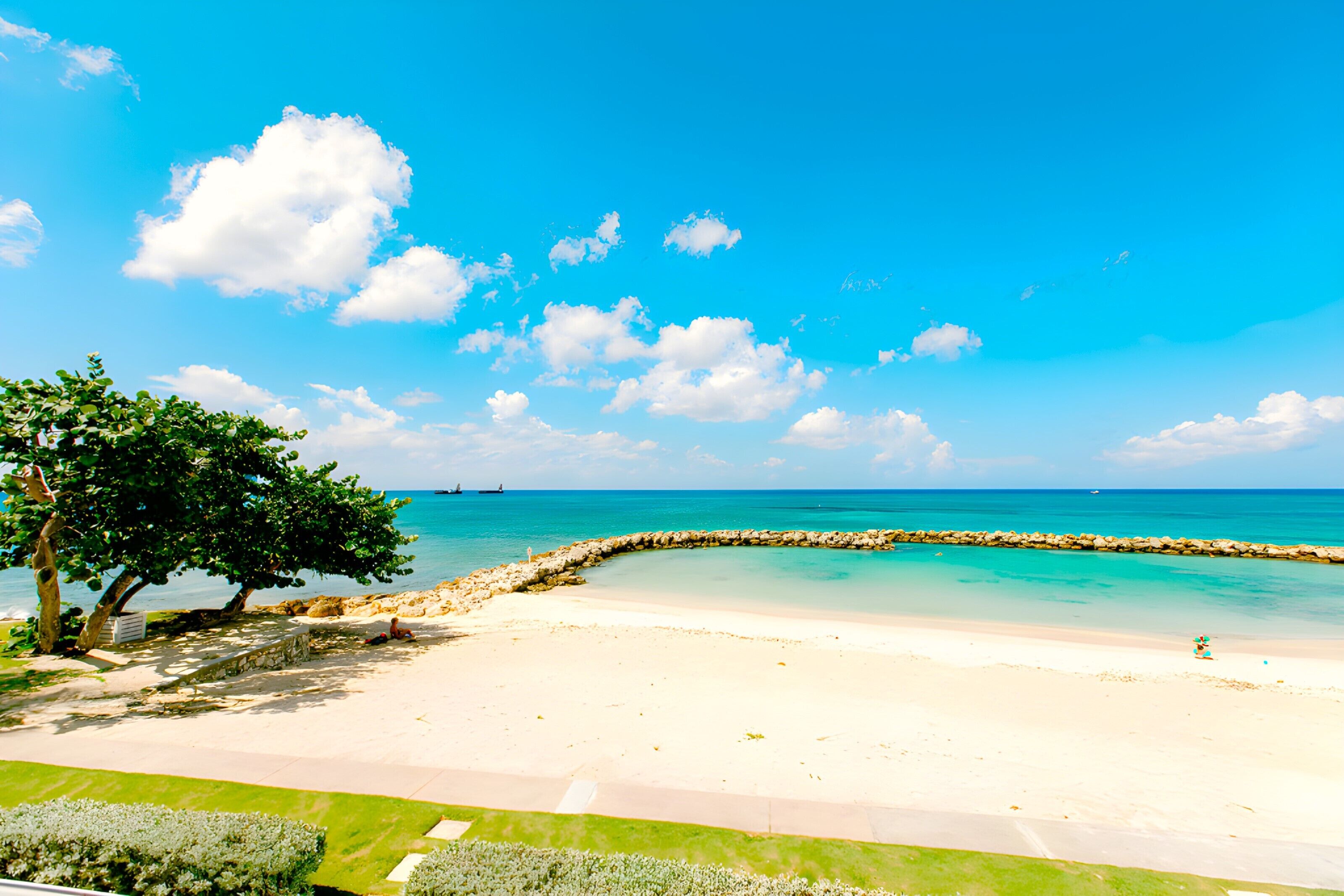 A beach with clear turquoise water, a stone breakwater, and a tree-lined path.