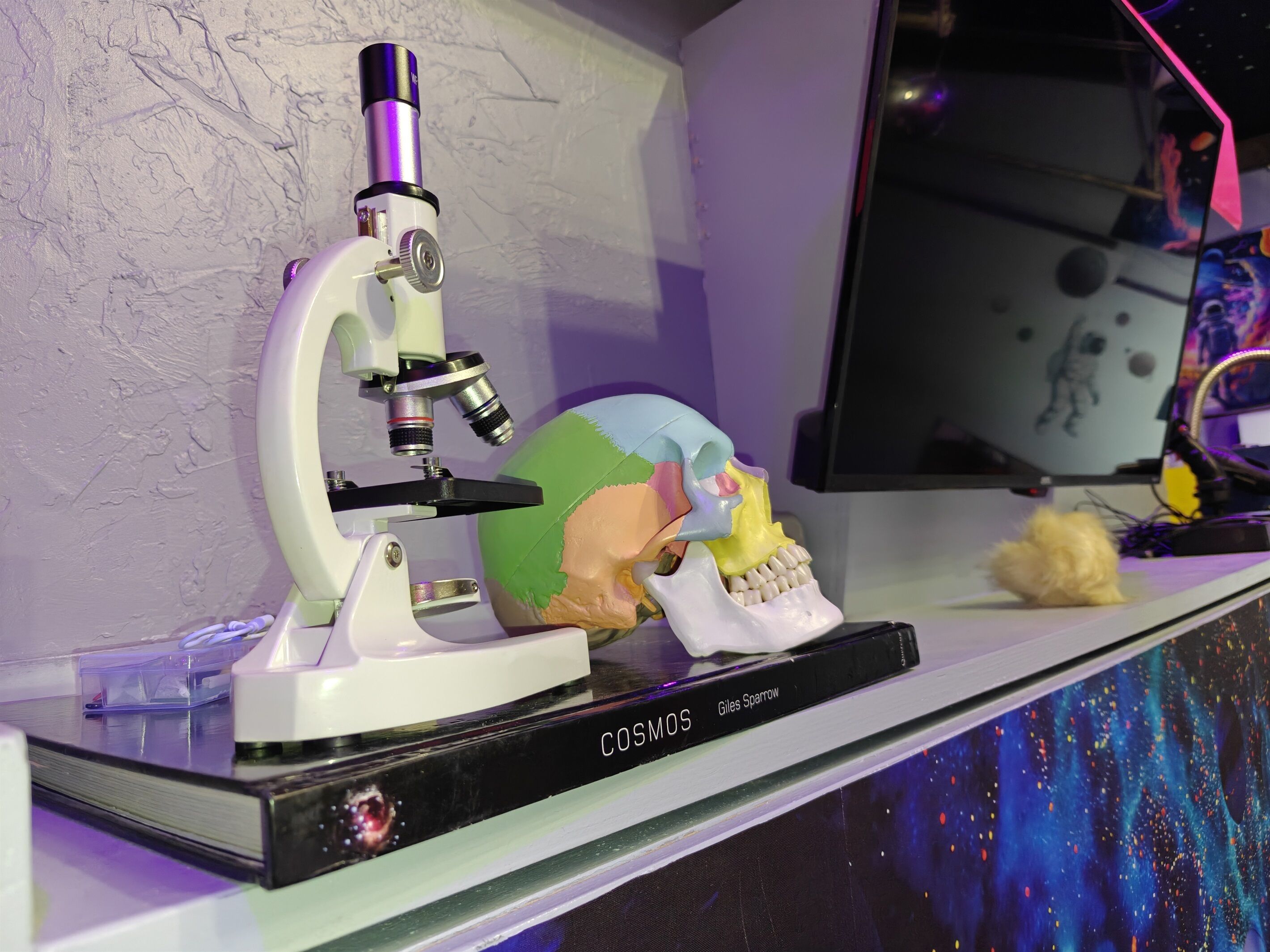 Un microscopio sobre una estantería con un cráneo modelo y un libro titulado "COSMOS" de Giles Sparrow.