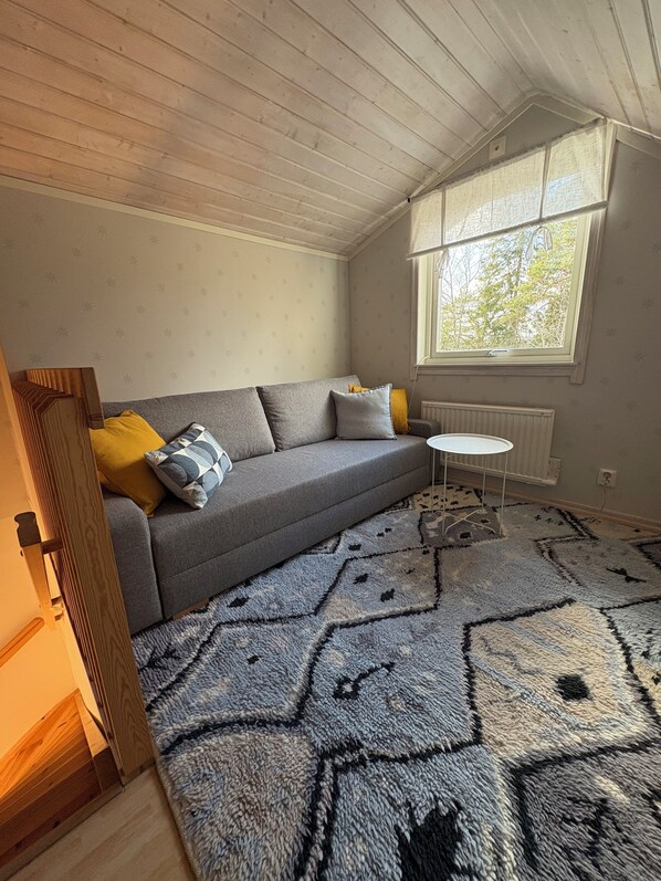 Smart TV, fireplace, video games, DVD player