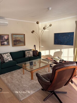 Smart TV, fireplace, video games, DVD player