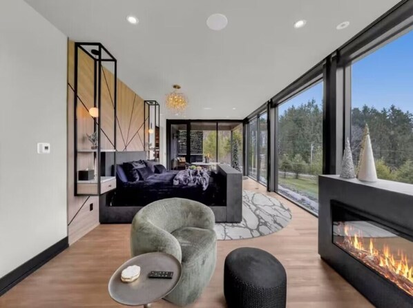 TV, fireplace, music library, stereo