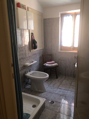 Shower, hair dryer, bidet, towels