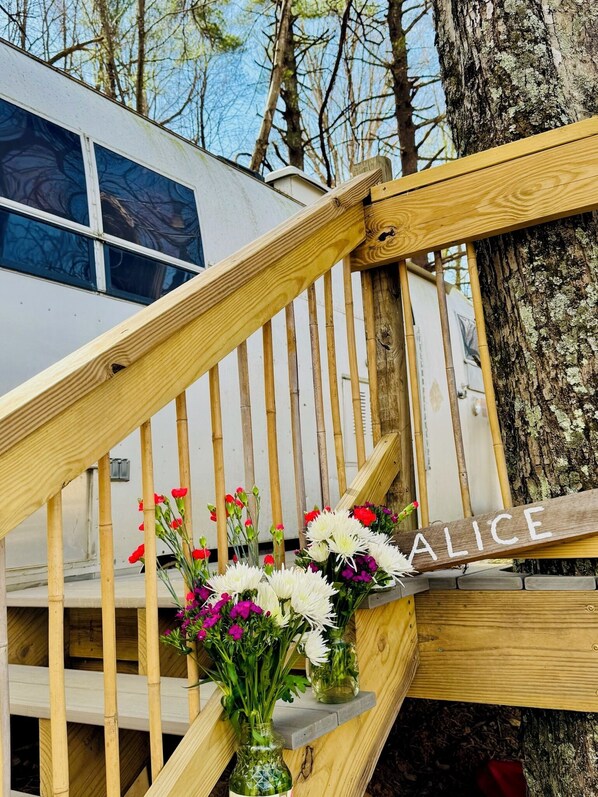 Terrein van de accommodatie