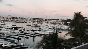 A marina with multiple boats docked, a clear sky, and a palm tree in the foreground. - Most Beautiful View on Key West? (Key West)