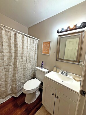 Hair dryer, towels, soap, toilet paper
