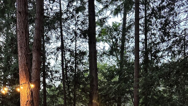 A deck with a fire feature, wicker furniture, and a view of a forest. - Island paradise with private hot tub -- pet friendly & breakfast included! (Pender Island)