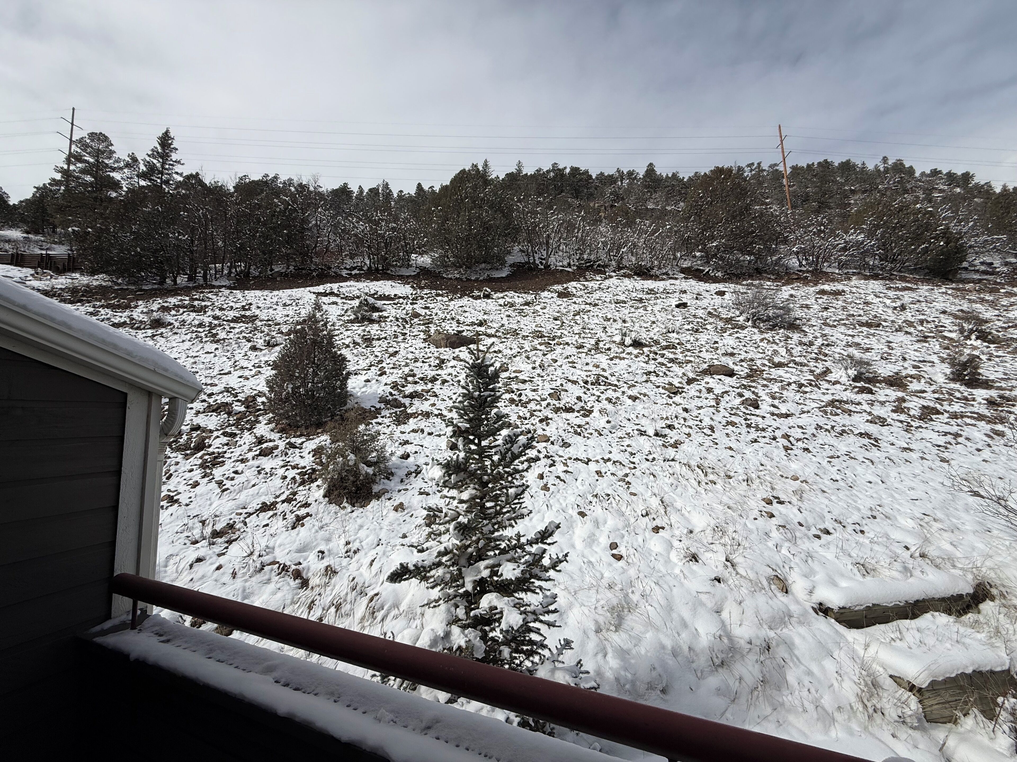 Paisatge nevós amb una terrassa de fusta i una barana metàl·lica.