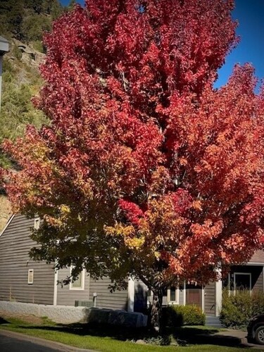 3BR Townhome between Ski Resort and Downtown, Wifi, Pet Friendly