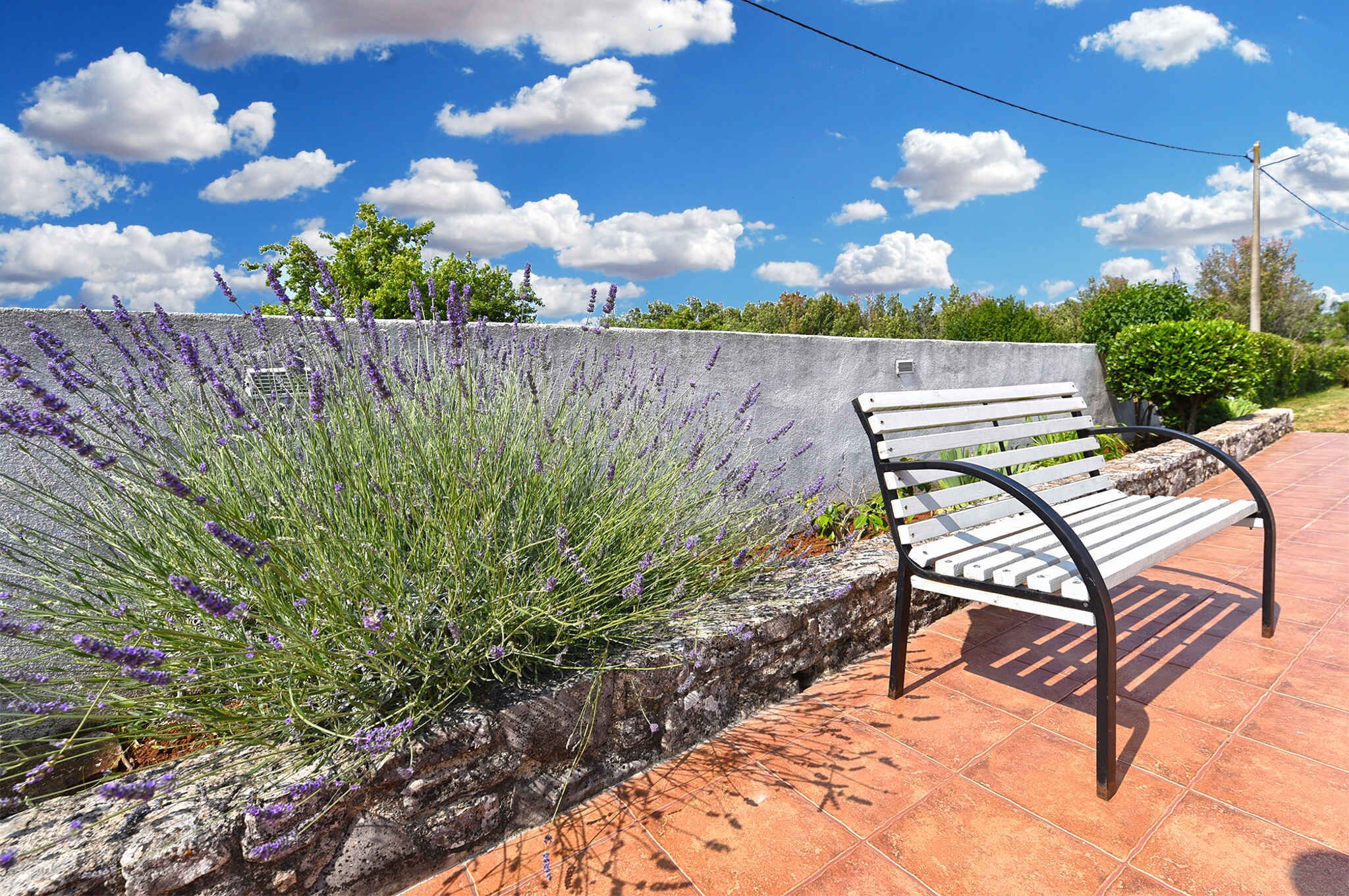 A bench on a tiled walkway with a stone wall and lavender plants.