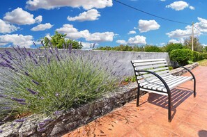 Terraza o patio