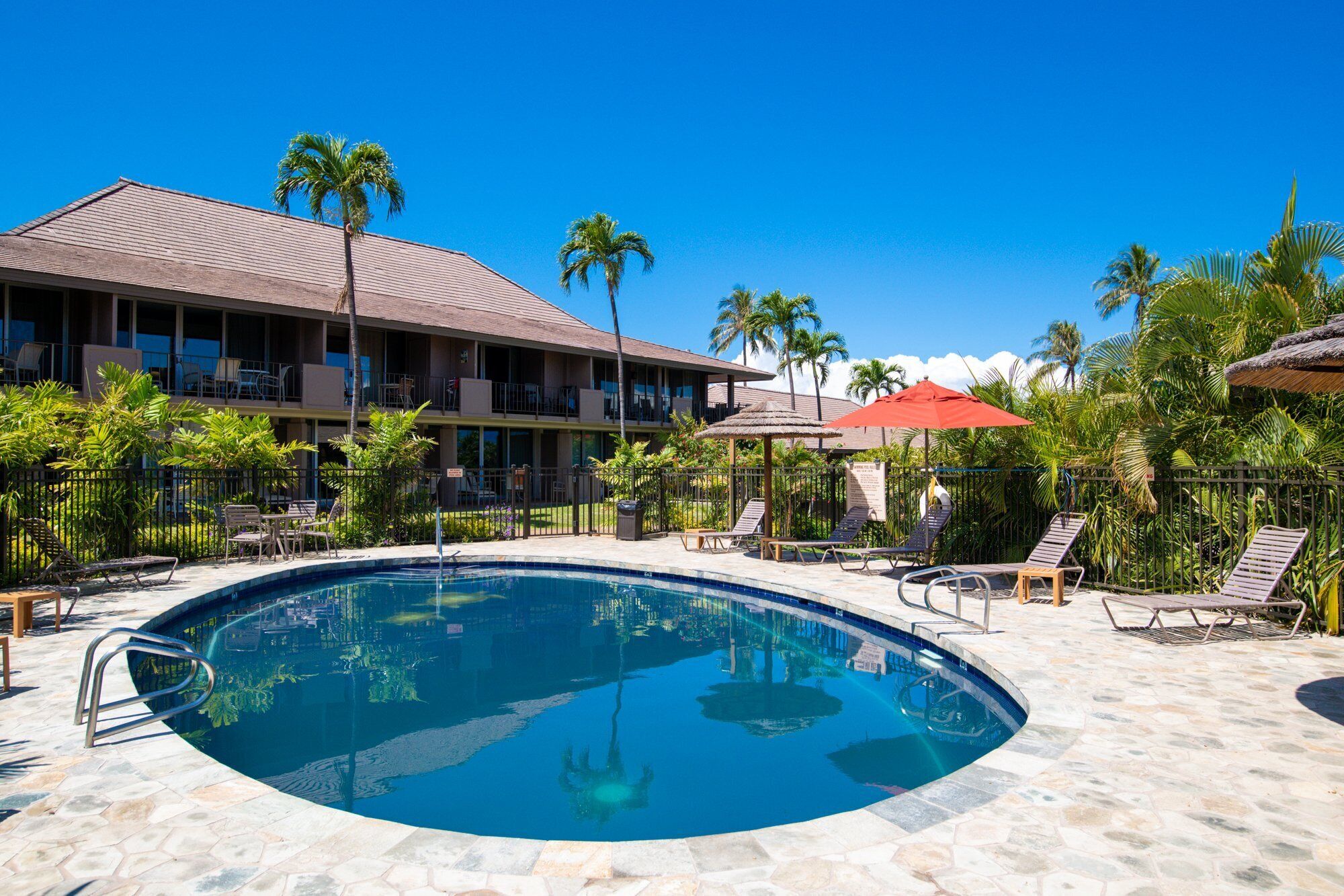 Um hotel com piscina, espreguiçadeiras e palmeiras.