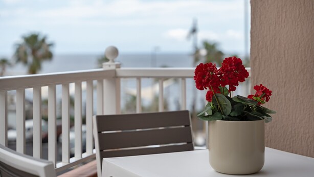 Un balcone con ringhiera bianca, un tavolo e una pianta in vaso con fiori rossi.