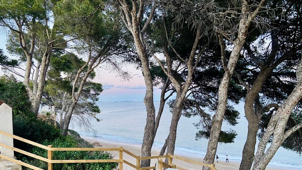 A wooden staircase leading to a beach with a view of the sea and trees.