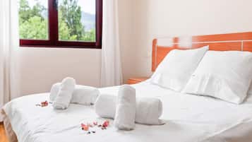 1 slaapkamer, gratis wifi, beddengoed