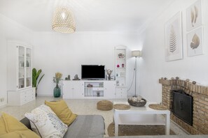 TV, fireplace