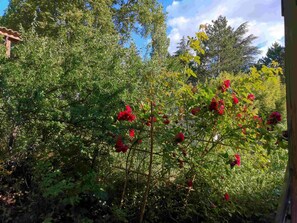 Property grounds - Chalet 'Blanc 8 Personnes' with Balcony and Wi-Fi (Darbres)