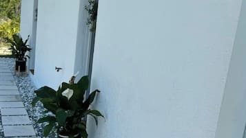 Detalle del exterior