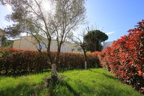 Un jardín con un árbol, arbustos rojos y un edificio al fondo.