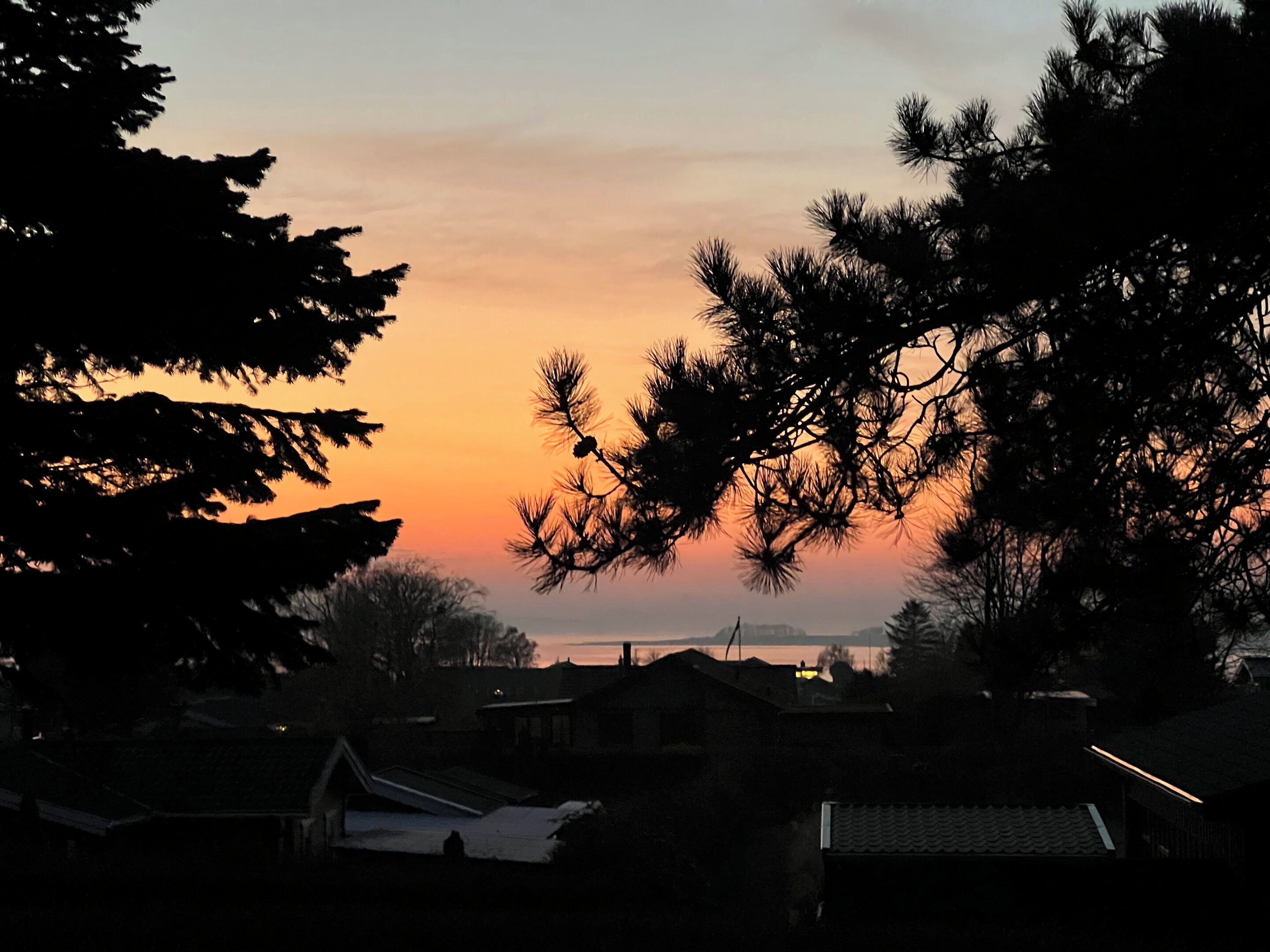 A sunset view with silhouettes of trees and buildings.