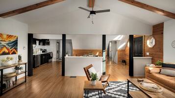 Smart TV, fireplace, books