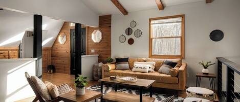 Smart TV, fireplace, books