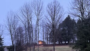 Un campo erboso con alberi spogli e un piccolo edificio con una finestra illuminata.
