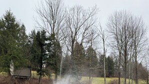 Uno stagno tranquillo con una fontana al centro, circondato da alberi e un piccolo edificio.