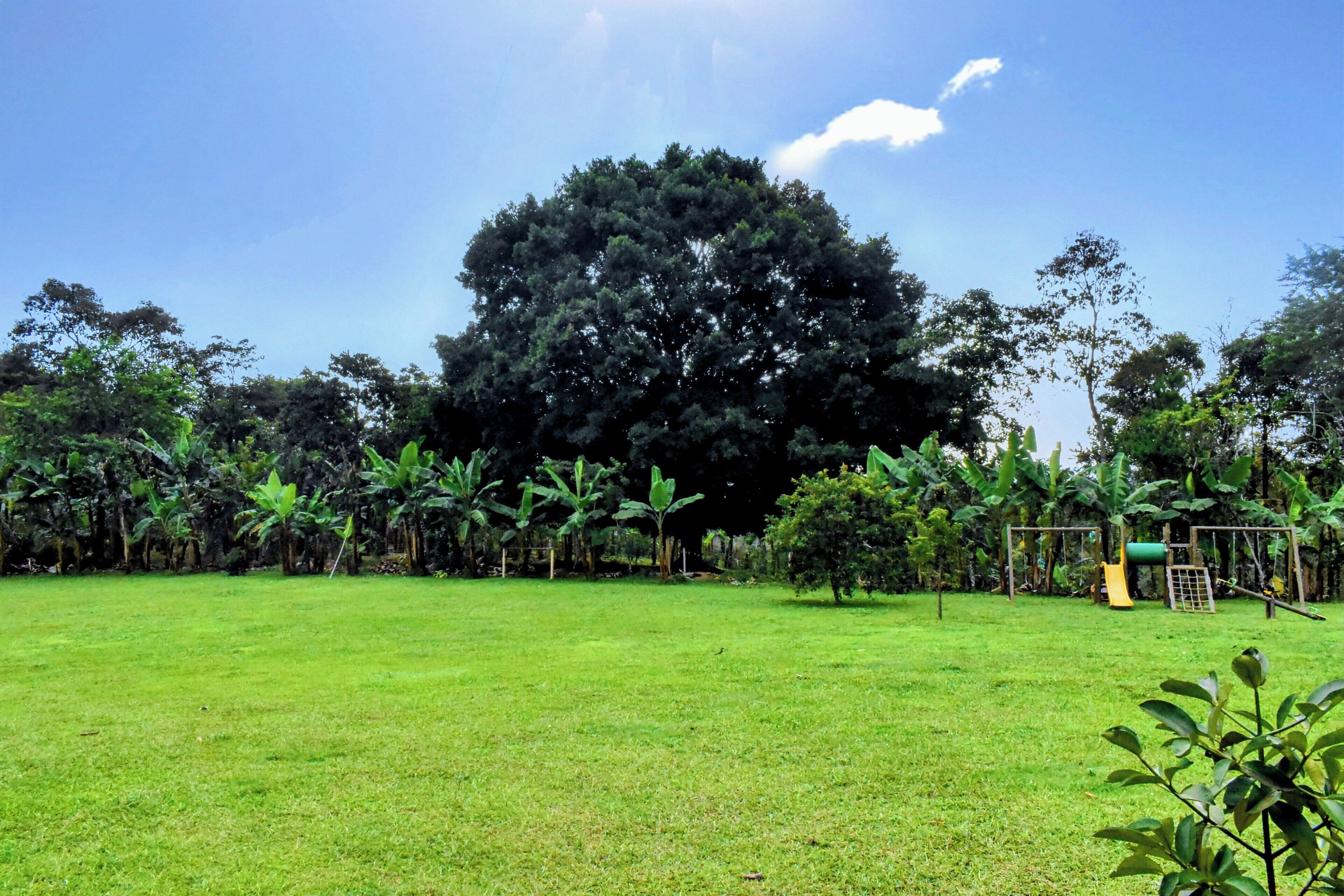 Parco della struttura