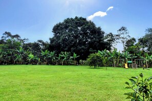 Property grounds - Chalet - private farm ideal for families near the Coffee Park Eje Cafetero (Quimbaya)