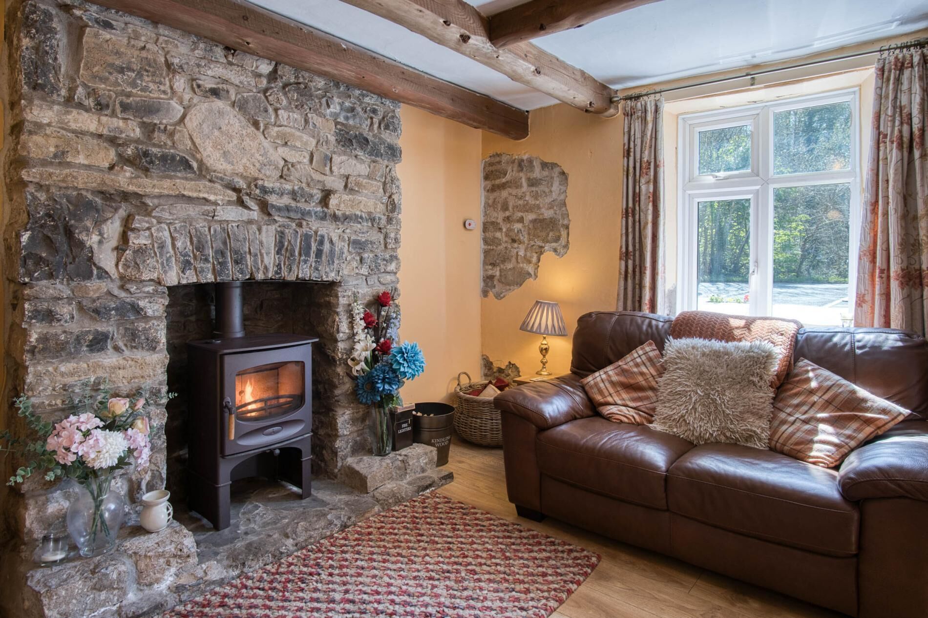Smart TV, fireplace