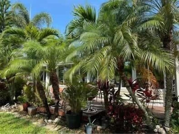 Jardines del alojamiento