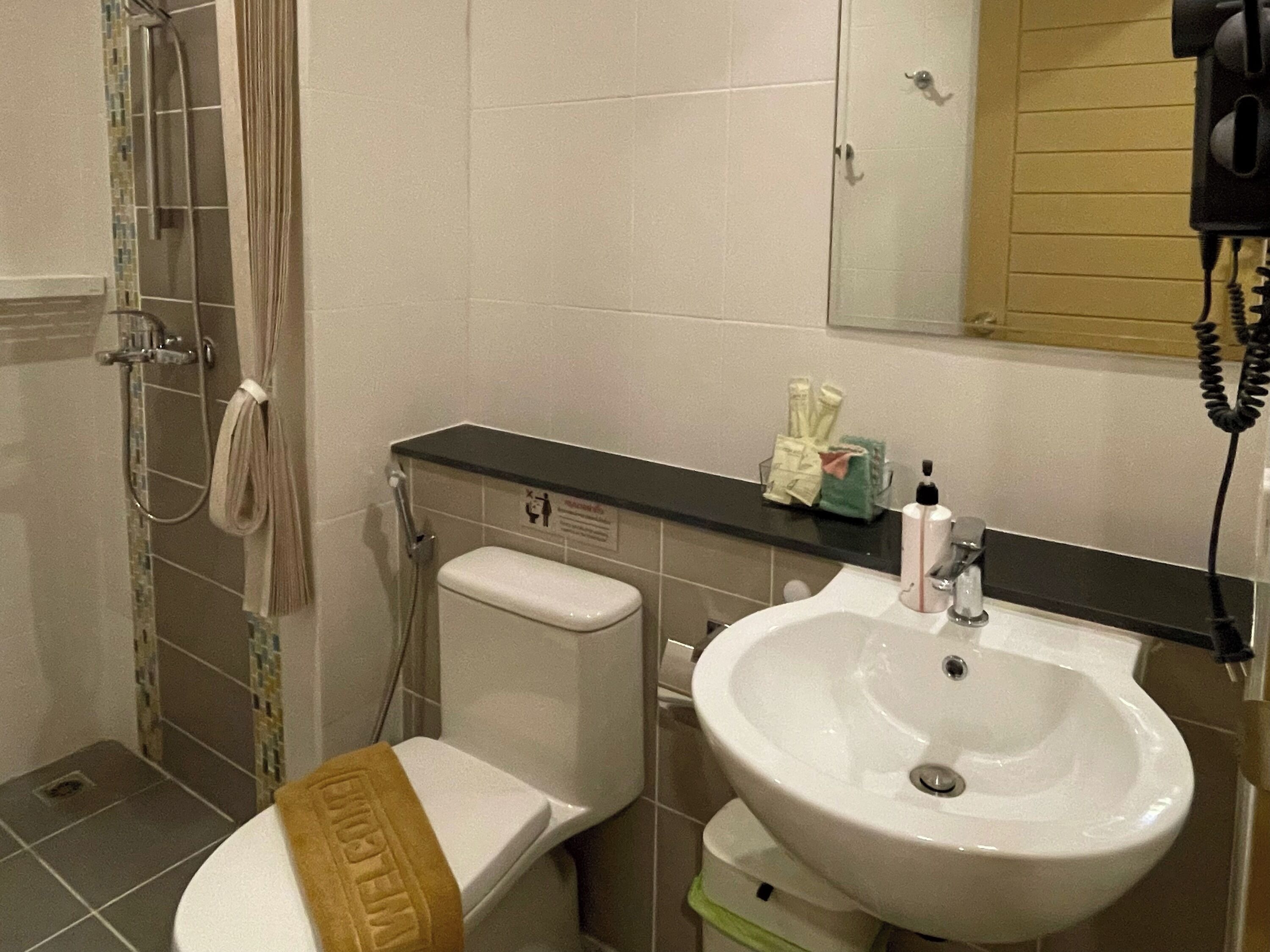 Une salle de bain avec des toilettes, un lavabo et une douche.