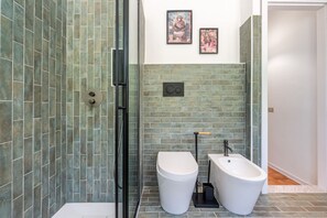 Shower, hair dryer, bidet, towels