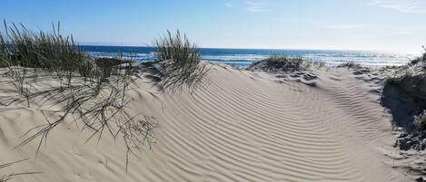 Playa