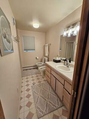 Dutxa, assecador de cabells, bidet i tovalloles