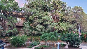 Un giardino curato con diverse piante e una statua.
