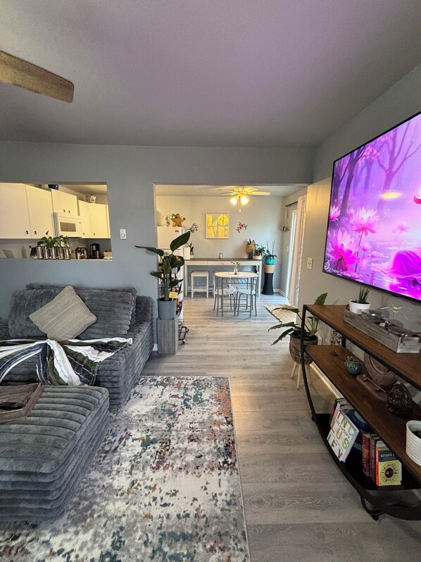 TV, books - Charming Feathers Theme Home, King Bed, 2-bedroom house in Aurora with WiFi (Aurora)