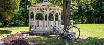 Vintage Elegance w/Floral Accents & Timeless Decor