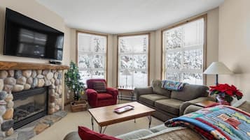 TV connectée, cheminée, livres, chaßne hi-fi