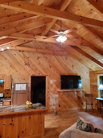 Living area. Charming ranch style log cabin with AC in scenic Winona